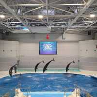 Kagoshima City Aquarium