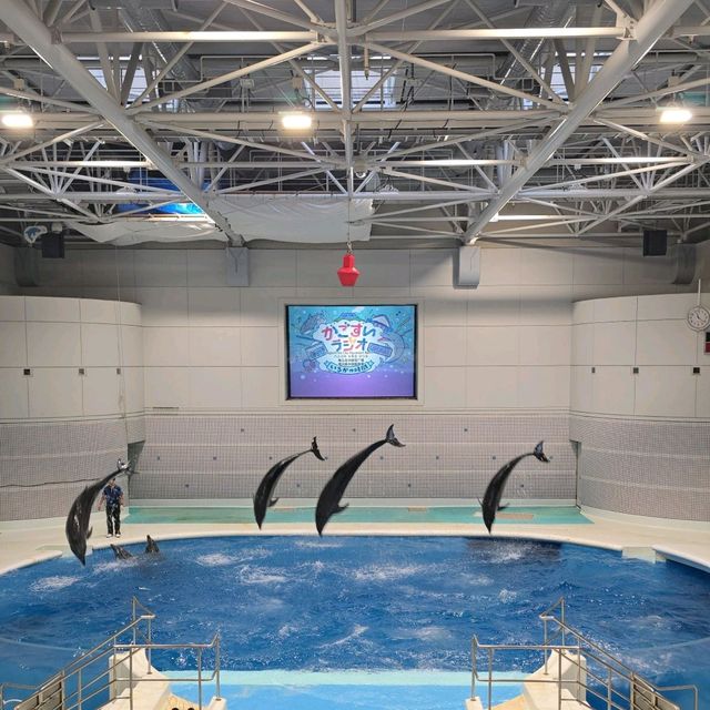 Kagoshima City Aquarium