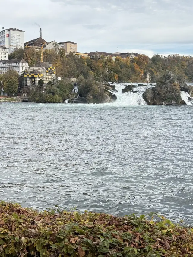 8-Day Itinerary in Lucerne, Zurich, and Interlaken