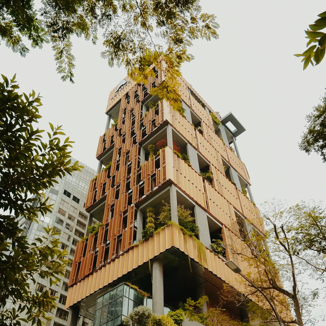 Culture Woven, Comfort Refined