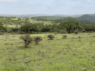 📅 Itinerary 
 Day1：Al Baleed Archaeological Park & Museum of the Frankincense Land, Al Husn Souq and Al Mughsail Beach.
 Day2: Wadi Darbat
 Day3: Jebel Samhan
 🏨 Accommodation: Tulip Inn Majan Hotel
 🍴 Food Recommendations; Yemeni restaurants 
 📌 Tips: Salalah, Oman’s lush southern region, is best visited during the Khareef (June–September) when the mountains turn green and waterfalls flow, though October–February also offers pleasant weather and clear skies. Rent a 4×4 to explore highlights like Wadi Darbat, Jebel Samhan, Mughsail Beach, and Tawi Atair Sinkhole, as attractions are spread out. Stay near the city for easy access, choosing from luxury resorts like Al Baleed by Anantara, mid-range hotels such as Juweira Boutique, or budget guesthouses. Dress modestly, respect local customs, and enjoy Oman’s warm hospitality, fresh coconuts, frankincense souqs, and stunning coastal sunsets — all in one of the safest and most scenic parts of the Arabian Peninsula.