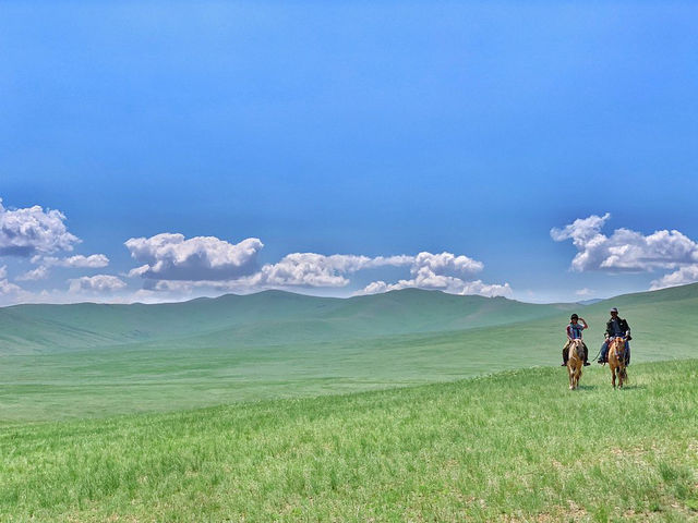 Hustai National Park - Fantastic animal viewing.