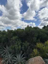 ไร่วันยังขำ คาเฟ่ โอพันเทีย และสวนสน