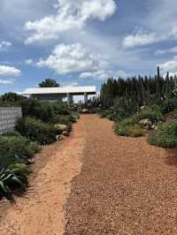 ไร่วันยังขำ คาเฟ่ โอพันเทีย และสวนสน