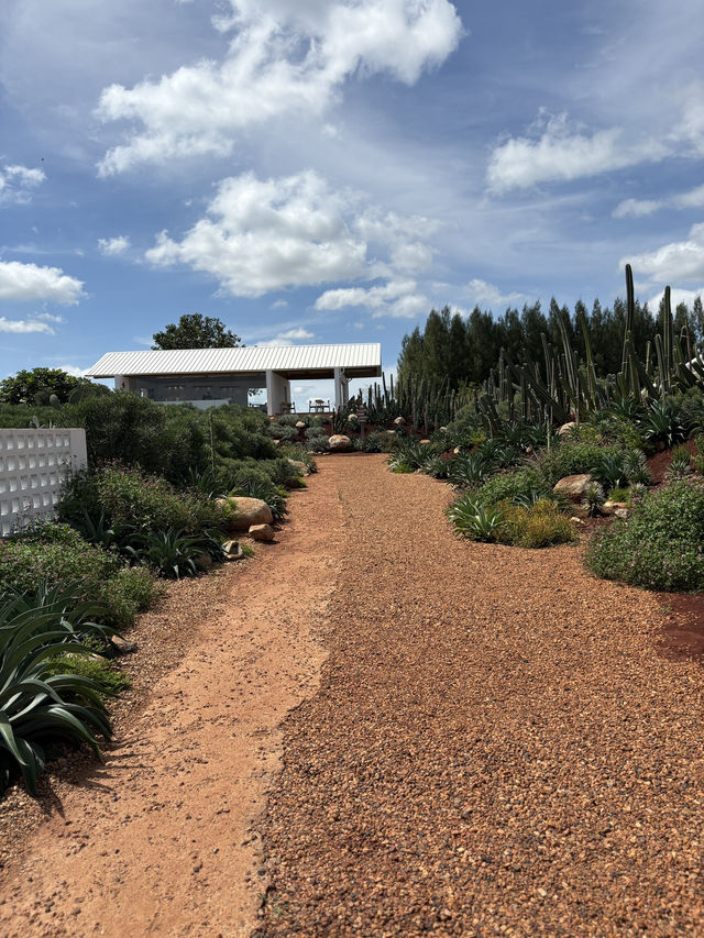 ไร่วันยังขำ คาเฟ่ โอพันเทีย และสวนสน ไร่วันยังขำ คาเฟ่ โอพันเทีย และสวนสน