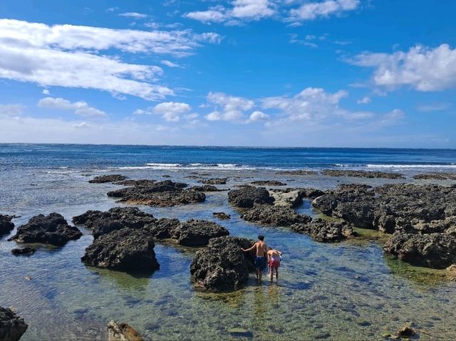 【萬里桐住宿心得|海邊走走 Sea Walking】 【萬里桐住宿心得|海邊走走 Sea Walking】