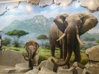 🎨✨ Step Into a World of Illusions at Langkawi Art in Paradise 3D Museum 🖼️📸