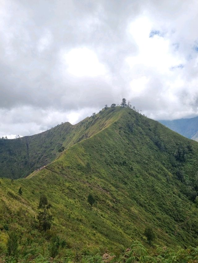 Vibrant Day Out🌸 Vibrant Day Out🌸