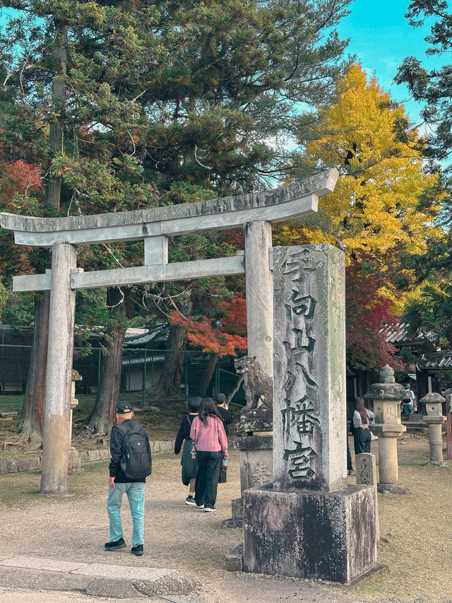 【奈良市】学問の神様も歌を詠んだ紅葉名所『手向山八幡宮』