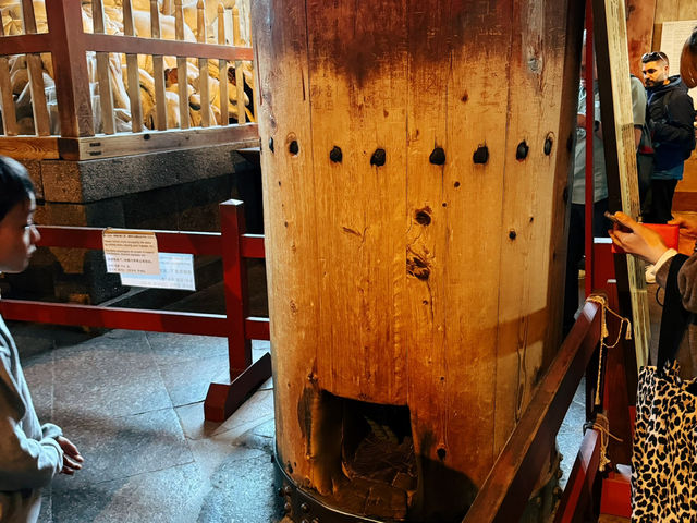 奈良東大寺～穿越千年遇見世界最大木造建築！與鹿共游的佛像奇觀🦌🏯