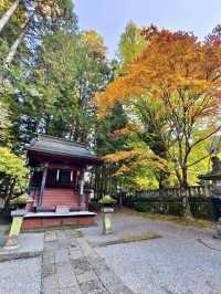 《巨杉守護的靜謐時光•北口本宮富士淺間神社》