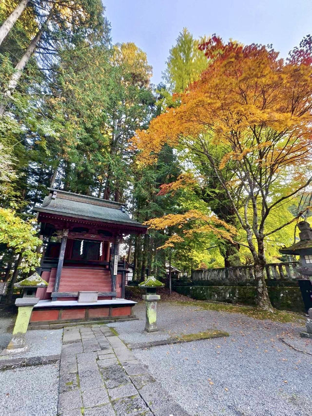《巨杉守護的靜謐時光•北口本宮富士淺間神社》