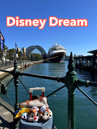 ディズニー・クルーズへ出発！🚢：乗船前の準備と持ち物に関する完全
