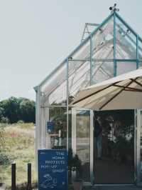 丹麥旅行 -  Noma 回來了 玻璃屋中的北歐味覺實驗室