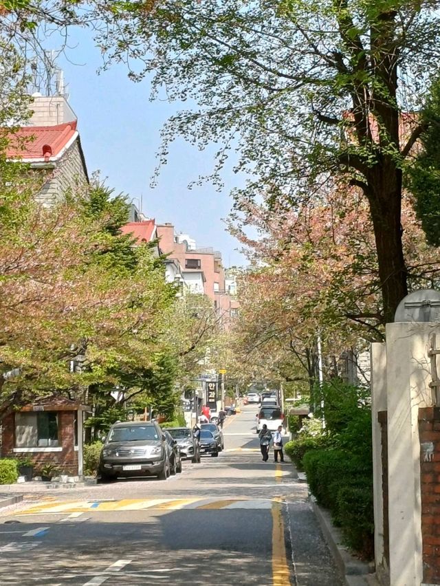 在安靜的巷弄裡,當個無聲的過客 在安靜的巷弄裡,當個無聲的過客