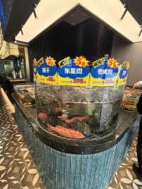 深圳探店|🌟讓我N刷的百年粵菜餐廳🌟