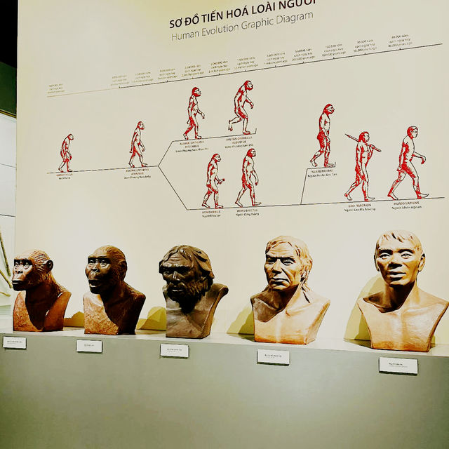 🇻🇳 Vietnam National Museum of History (Bảo tàng Lịch sử Quốc gia) 🇻🇳 Vietnam National Museum of History (Bảo tàng Lịch sử Quốc gia)