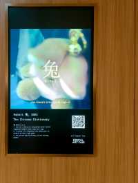 Kyra Lounge at Hong Kong International Airport