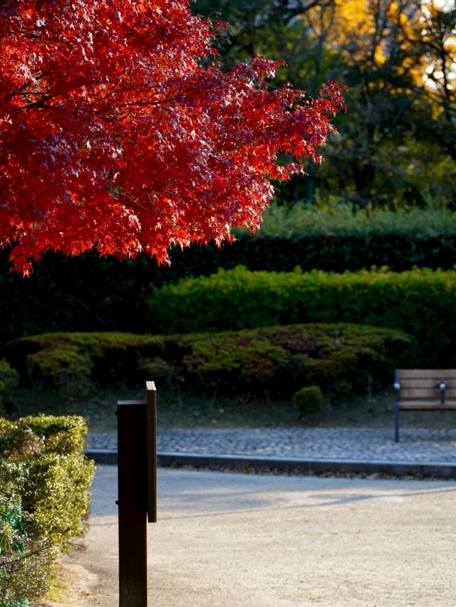 JAPAN AUTUMN 2025 JAPAN AUTUMN 2025