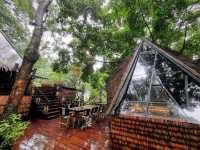 Phuket’s Three Monkeys Restaurant: Jungle Vibes & Tom Yum Delights 🍲🌴