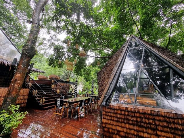 Phuket’s Three Monkeys Restaurant: Jungle Vibes & Tom Yum Delights 🍲🌴