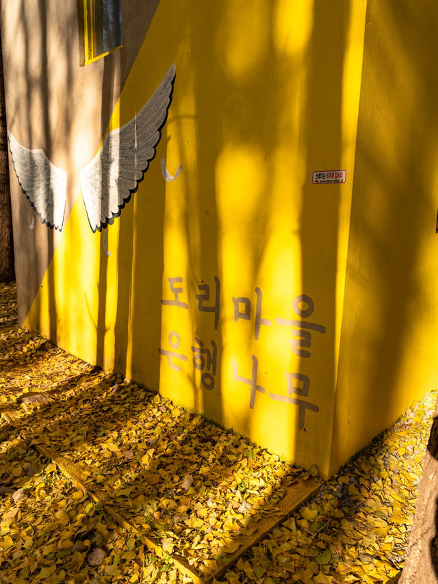 ๊ฒฝ์ฃผ ๋๋ฆฌ๋ง์ ์ํ๋๋ฌด ์ฒ ๊ฒฝ์ฃผ ๋๋ฆฌ๋ง์ ์ํ๋๋ฌด ์ฒ