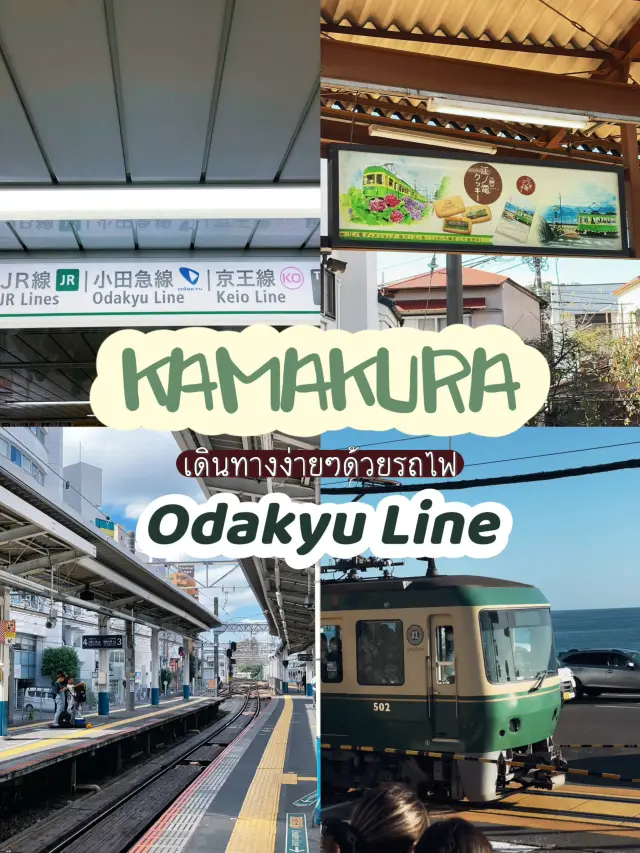 จากโตเกียวไปคามาคุระง่ายๆ ด้วยรถไฟ Odakyu Line 🚃