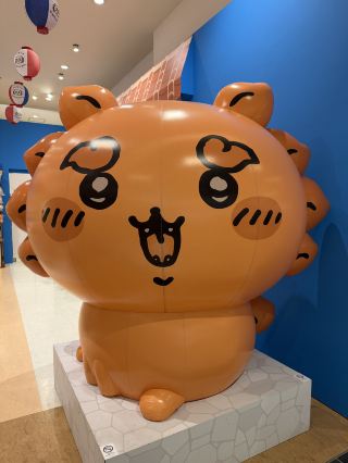 室外自然風景輕鬆散步路線