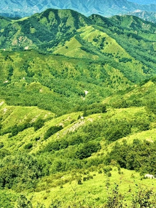 東靈山｜北京的「小阿勒泰」