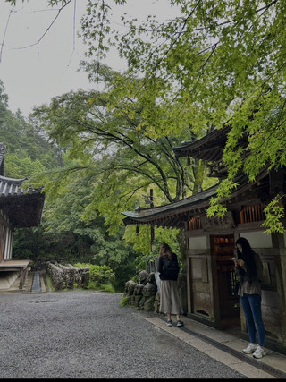 Kansai 8 Days 7 Nights | Kyoto • Uji • Kobe • Osaka a very beautiful itinerary❤️