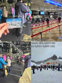 แพลนญี่ปุ่น 5 วัน 4 คืน 🇯🇵เจอทั้งหิมะ ซากุระ และฟูจิงบไม่เกิน 20,000 บาท! ❄️🌸🗻