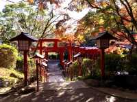 Epic Kyushu Road Trip: Scenic Spots, Cozy Towns & Vibes 🚗🍁