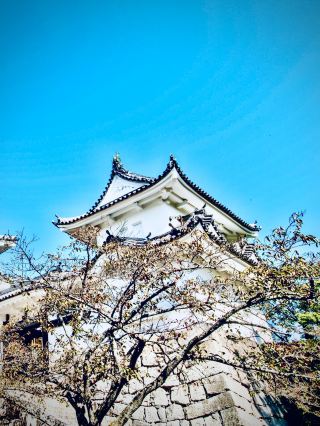 奈良井宿「千米驛站」杉木漫步之旅