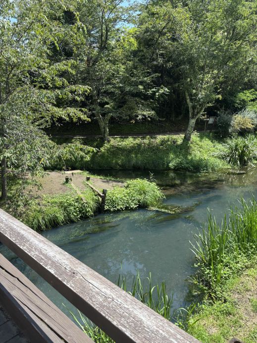 ミュージシャン HERB GARDEN 2026 Minamitsuru District Attraction] Herb Garden Tabinikki Fuji