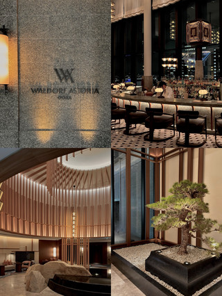 Waldorf Astoria Osaka is Hilton’s flagship luxury hotel property in Japan, situated in the high-profile Grand Green Osaka development within the Umekita district of Umeda.
Location & Setting
 Address: Grand Green Osaka South Building, 5-54 Ofuka-cho, Kita-ku, Osaka, 530-0011, Japan.
 Neighborhood: Positioned in the heart of Umeda, adjacent to Osaka Station and within short walking distance of major landmarks such as the Umeda Sky Building and Grand Front Osaka.
 Sky-High Elevation: The hotel occupies the upper floors (floors 31 through 38) of the 39-story South Tower, offering panoramic views stretching across Osaka City, Osaka Bay, and toward the Hyogo mountain range.
 #mytravelwrap 