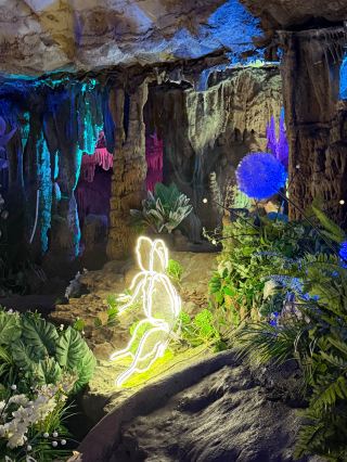 Felt like stepping into a mystical realm! This vibrant karst cave in Guangxi is cooler than any AC.