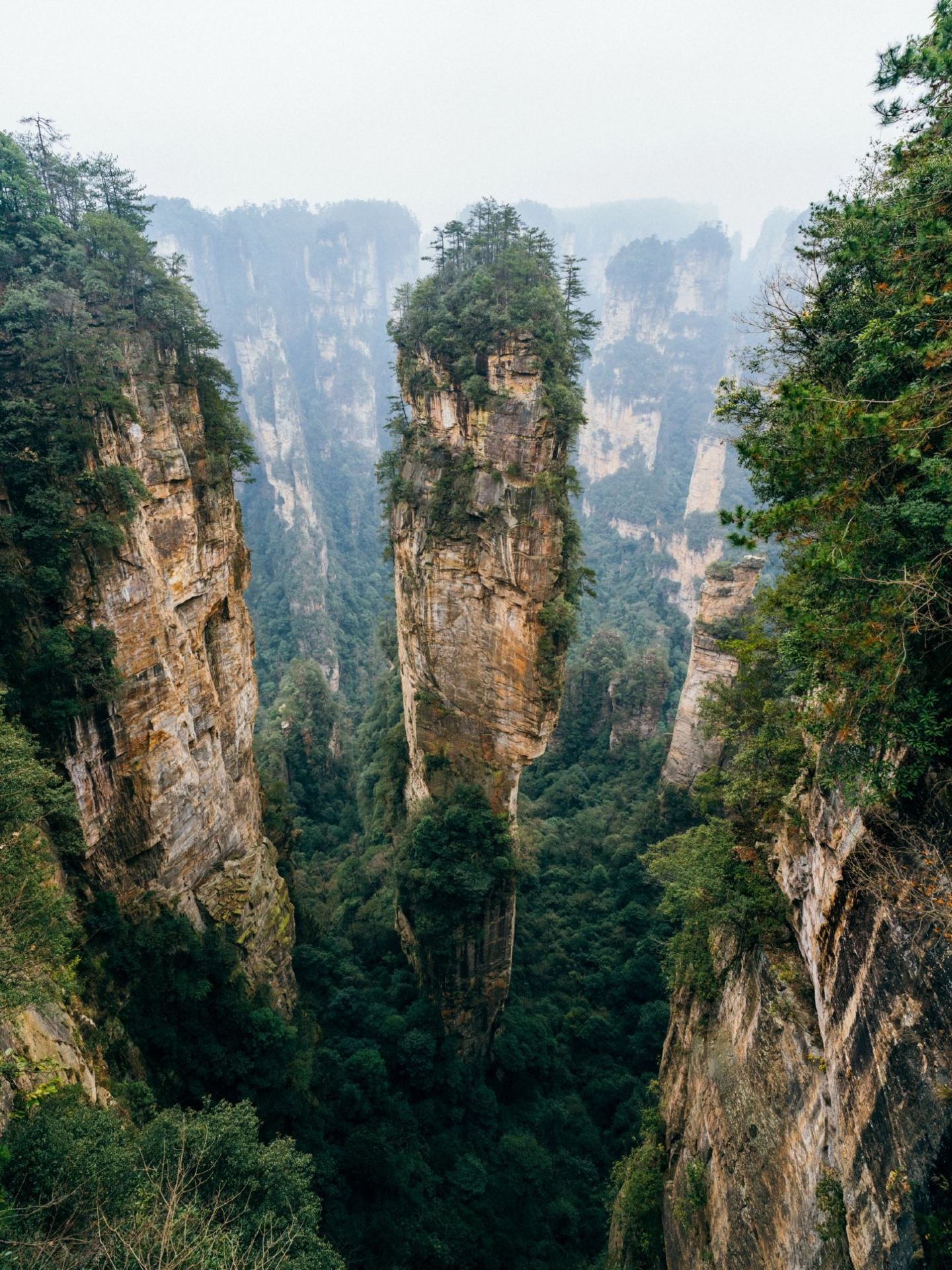 ⛰️ Zhangjiajie — A Landscape That Looks Beyond Reality 🇨🇳✨