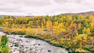 Chasing Autumn Gold: The Magical Arctic Circle Train Journey 🚂🍂