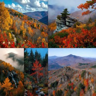 Roan Mountain
