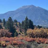 Fall beauty on the La Sal Mountain, Utah