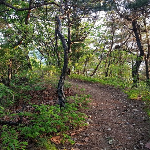 여행가는달 계룡산 자락 중 한 곳인 갑하산 등산 여행가는달 계룡산 자락 중 한 곳인 갑하산 등산