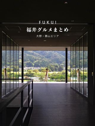 Fukui gourmet summary