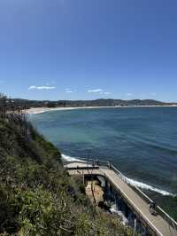 【シドニー郊外】癒し旅。Terrigal Beachでのんびり海ランチと、かわいいペリカンたちに会える場所