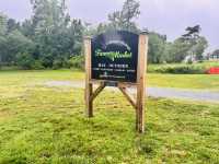 Escape to Nature in Stallings