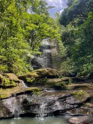 セントルシアの秘境：知る人ぞ知るエラーデの滝（Errard Waterfall）