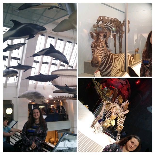 Explore Earth's Wonders at London's Natural History Museum! 🦕🌟
