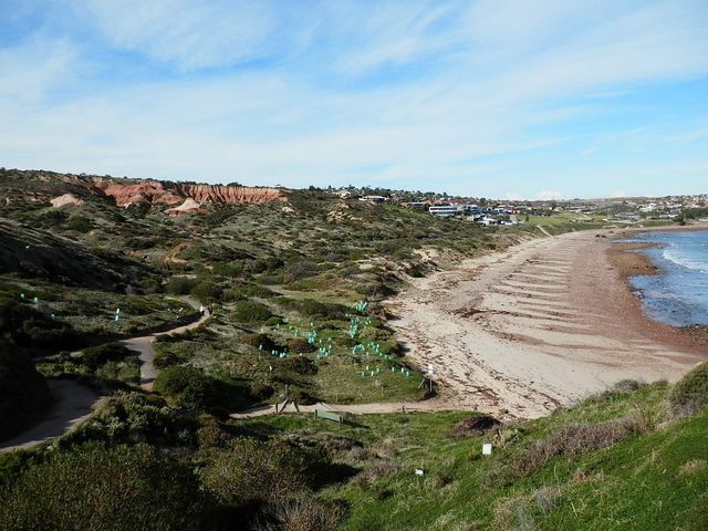 Amazing Hallett Cove Conservation Park 🇦🇺