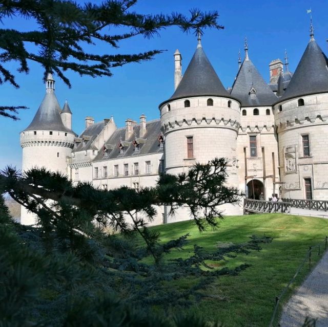 One day tour at Château de​ chaumont