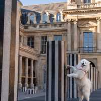 Insider tip in Paris’ center: Palais Royal