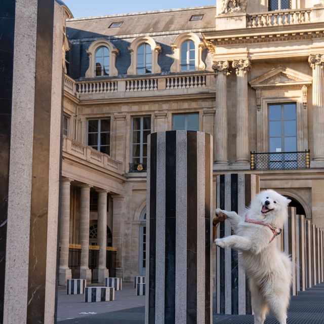 Insider tip in Paris’ center: Palais Royal